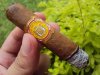 peque_DSC04543.JPG