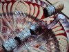 peque_DSC04736.JPG