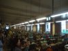 DSC00742.JPG