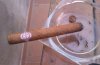 IMAG0442.jpg