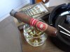 tn_SDC10430.JPG