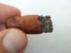 peque11.jpg