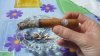 P1030807 reducido.jpg