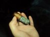 peque_DSC03379.JPG