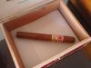 Laprhoig-Churchills 001.JPG