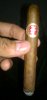 WP_20151124_22_41_43_Pro.jpg