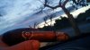 20151125_174435.jpg
