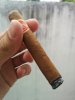 IMG_20160325_154708.jpg