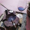 IMG_20160410_150056.jpg