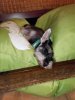 20160711_203443.jpg