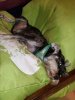 20160711_204902.jpg