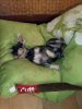 20160727_210221.jpg