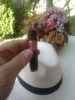 IMG_20160808_193334.jpg