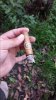 20160813_145255.jpg
