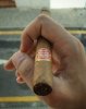 IMG_20160815_212133.jpg