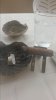 20160815_151205.jpg