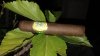 20160909_214751.jpg