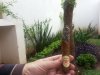 20161023_144426.jpg