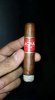tmp_14998-Joya Red Half Corona1191090729.jpg