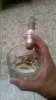 20170715_201201.jpg