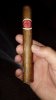 IMG-20171230-WA0003.jpeg