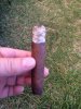 Macanudo 4.JPG