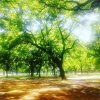 tn_IMG_20171212_084526_610.jpg
