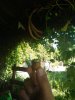 IMG_20180617_180317.jpg