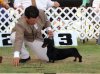 Issa, 14 Mayo 2011, Foto campeonato, Mejor sexo opuesto.jpg menor resol.jpg