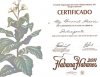 CertifE.jpg