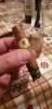 20190512_002021.jpg