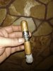 zapata robusto T.jpg