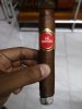 IMG_20190726_212632.jpg