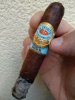PicsArt_12-01-06.05.49.jpg