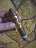 oliva belicoso.jpg