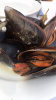 AA7D9E67-CF25-443A-80F6-14CB425503DC.png