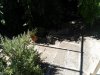 IMG_20200629_121612.jpg