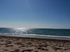 IMG_20200816_104407.jpg