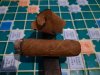 20200817_141537.jpg