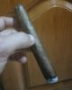 IMG_20200826_183603.jpg