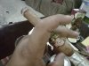IMG00374-20111113-2326.jpg
