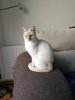 IMG-20190404-WA0001.jpg
