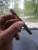 IMG_20210428_104714.jpg