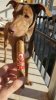 IMG-20211212-WA0003.jpeg