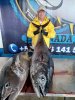 Atun.JPG