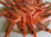 IMG00697-20120415-1417.jpg