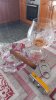IMG-20230106-WA0020.jpeg