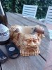 IMG_20230204_132431.jpg