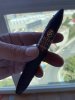 IMG_1537.jpeg