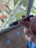 IMG_1540.jpeg